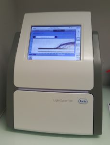 qPCR lightCycler 96