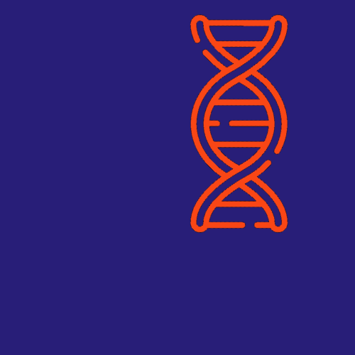 ADN et méthylation​