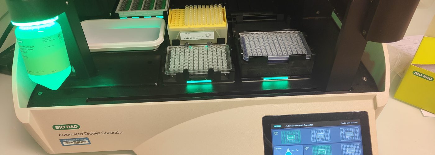 ddPCR