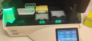 ddPCR