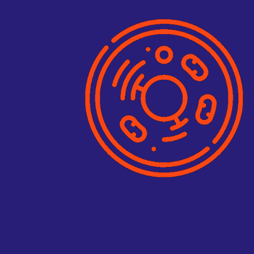 Cellules / Noyaux Uniques