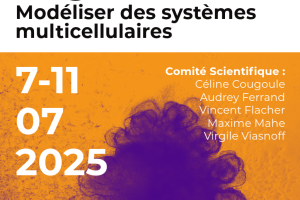 GDR Organoïdes: 2025 Organoids Summer School July 7-11, 2025