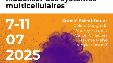 GDR Organoïdes: 2025 Organoids Summer School July 7-11, 2025