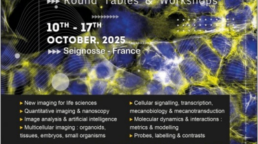 Pre-registration for #Mifobio2025
