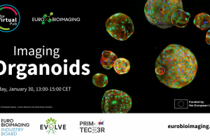 Special Edition Virtual Pub on 30/01/2026 (Eurobioimaging) – Imaging Organoids
