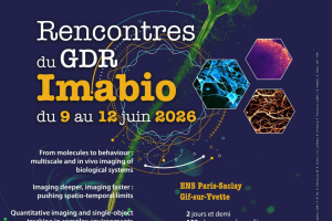 Rencontres du GDR Imabio – 9/12 juin 2026