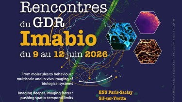 Rencontres du GDR Imabio – 9/12 juin 2026