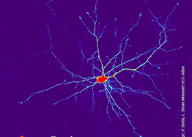 Inauguration ICM.Quant Labs@location Zeiss & Symposium “Imaging the Brain: New Probes & Approaches” | Institute du Cerveau, Paris – 4th June
