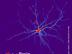 Inauguration ICM.Quant Labs@location Zeiss & Symposium “Imaging the Brain: New Probes & Approaches” | Institute du Cerveau, Paris – 4th June