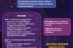 [LUMIC]: Formation QuPath au Centre de Recherche des Cordeliers – 22 & 23 juin