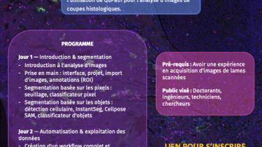 [LUMIC]: Formation QuPath au Centre de Recherche des Cordeliers – 22 & 23 juin