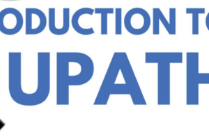 QuPath Training on December 15, 2026 (ICM)