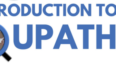 QuPath Training on December 15, 2026 (ICM)