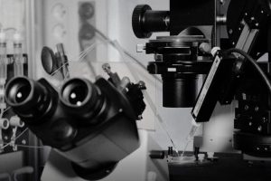 in vitro PATCH CLAMP