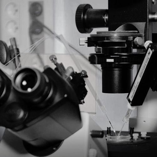 in vitro PATCH CLAMP