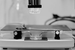 in vitro, ex vivo CMOS HD-MEA