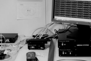 in vitro, ex vivo MULTIELECTRODE ARRAY