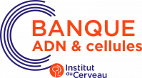 Banque ADN et Cellules - Institut du Cerveau - ICM