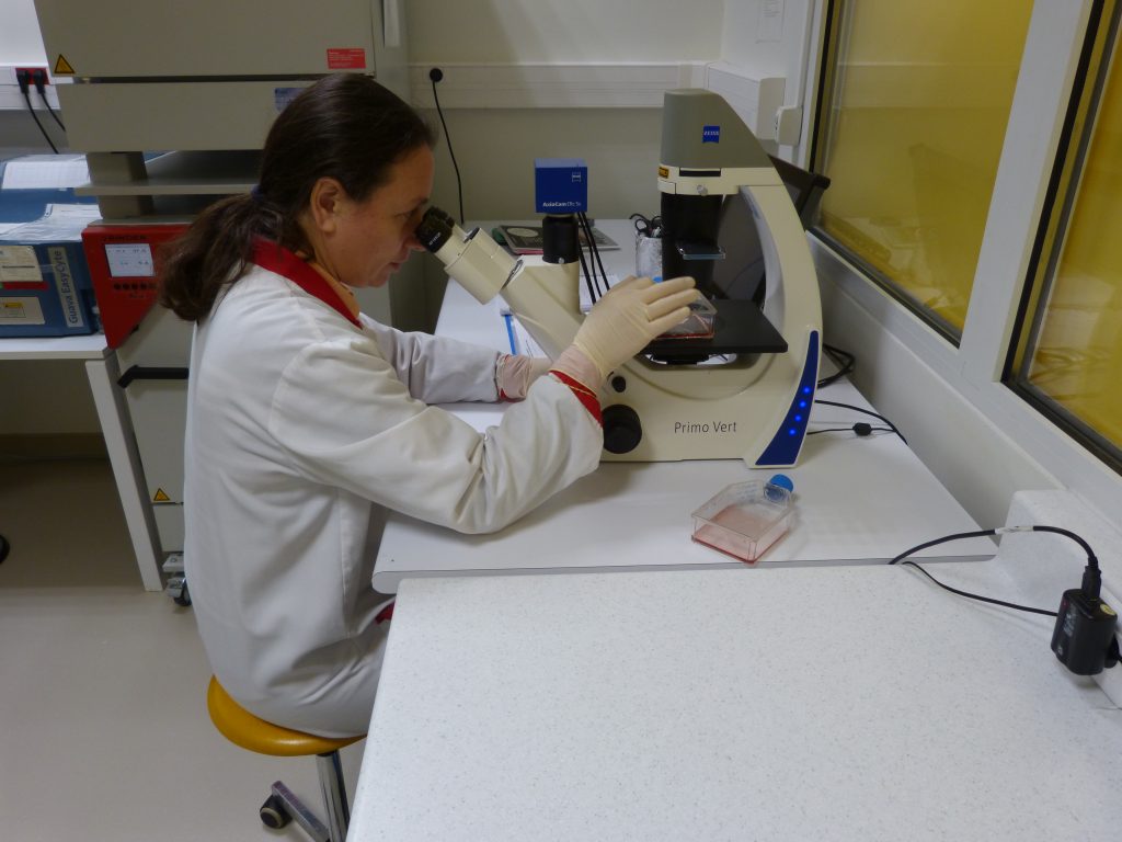 Isolement de cellules et culture cellulaire