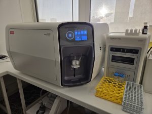 Attune Xenith Thermo Fischer