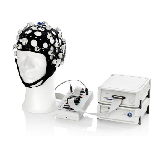 EEG