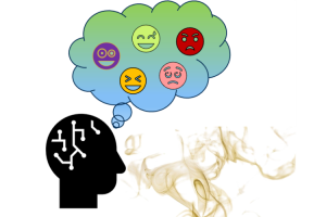 Étude NEUROSOCIO