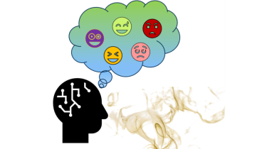 Étude NEUROSOCIO