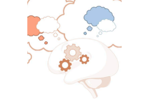 CREAMAP_B1 (En présentiel )