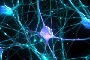 Identification de mutations récurrentes dans les gliomes de la ligne médiane
